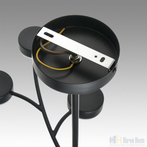 Люстра Lumion Torina 8117/12, раздел каталога Люстры с плафонами интернет-магазина Ночи Нет