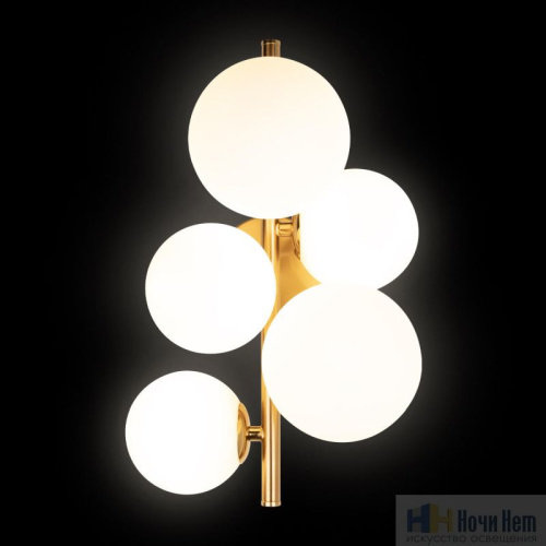 Бра Loft IT Tely 10236/5W, раздел каталога Бра с плафоном интернет-магазина Ночи Нет