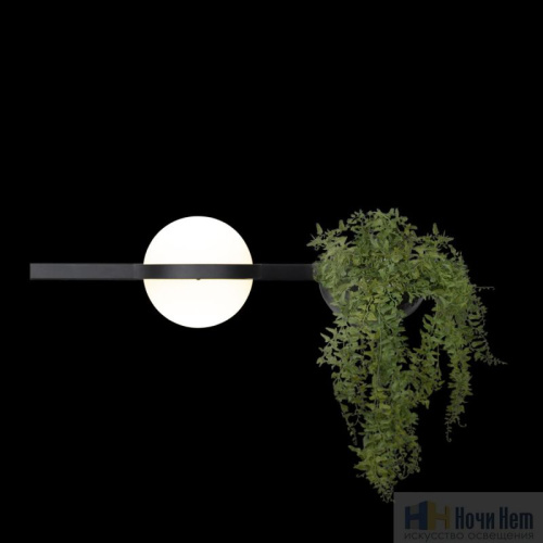 Бра Loft IT Jardin 10121W/A, раздел каталога Светодиодные бра интернет-магазина Ночи Нет