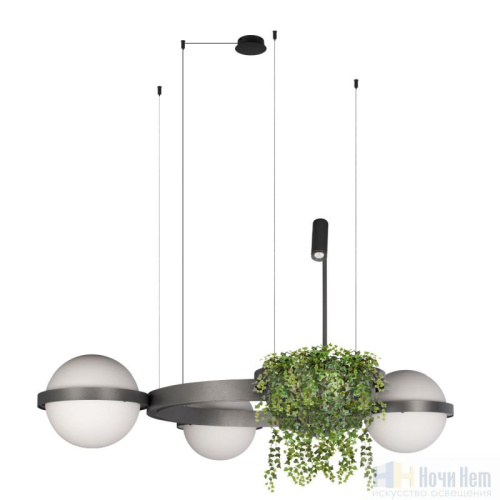Люстра Loft IT Jardin 10121/3 Dark grey, раздел каталога Светодиодные люстры интернет-магазина Ночи Нет