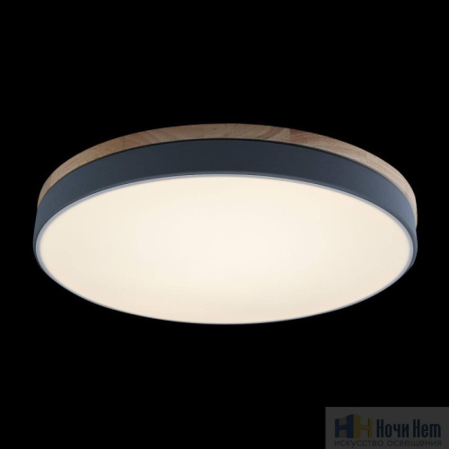 Светильник потолочный Loft IT Axel 10001/36 Grey, раздел каталога Круглые современные светильники интернет-магазина Ночи Нет