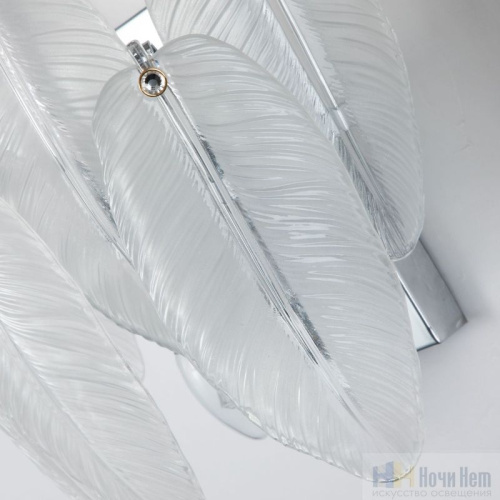 Бра Favourite Beluta 3018-2W, раздел каталога Бра с плафоном интернет-магазина Ночи Нет