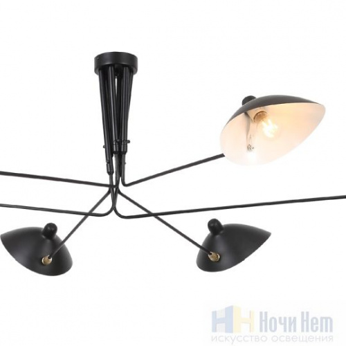 Люстра St.Luce Spruzzo SL305.402.06, раздел каталога Люстры с плафонами интернет-магазина Ночи Нет