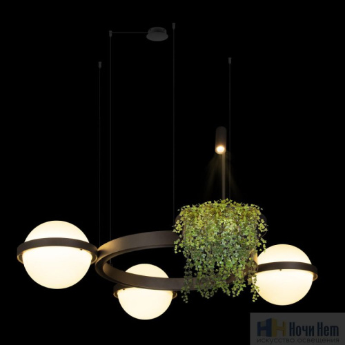 Люстра Loft IT Jardin 10121/3 Dark grey, раздел каталога Светодиодные люстры интернет-магазина Ночи Нет