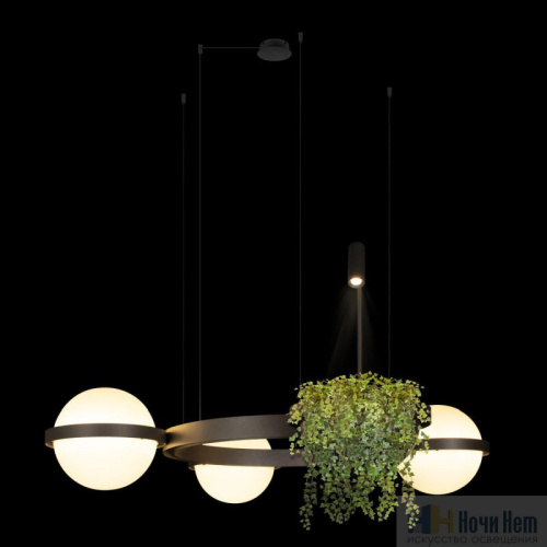 Люстра Loft IT Jardin 10121/3 Dark grey, раздел каталога Светодиодные люстры интернет-магазина Ночи Нет