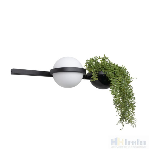 Бра Loft IT Jardin 10121W/A, раздел каталога Светодиодные бра интернет-магазина Ночи Нет