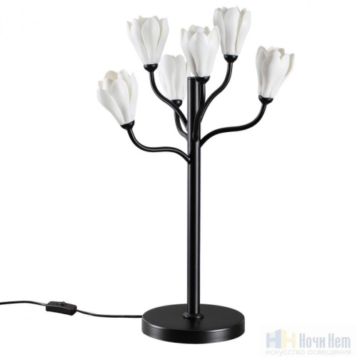 Настольная лампа Odeon Light Gardi 5090/6T, раздел каталога Настольные лампы с плафоном интернет-магазина Ночи Нет