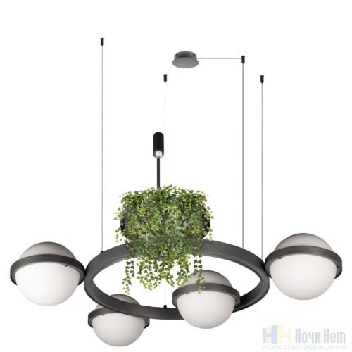 Люстра Loft IT Jardin 10121/4 Dark grey, раздел каталога Светодиодные люстры интернет-магазина Ночи Нет