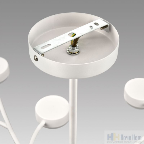 Люстра Lumion Torina 8265/15, раздел каталога Люстры с плафонами интернет-магазина Ночи Нет