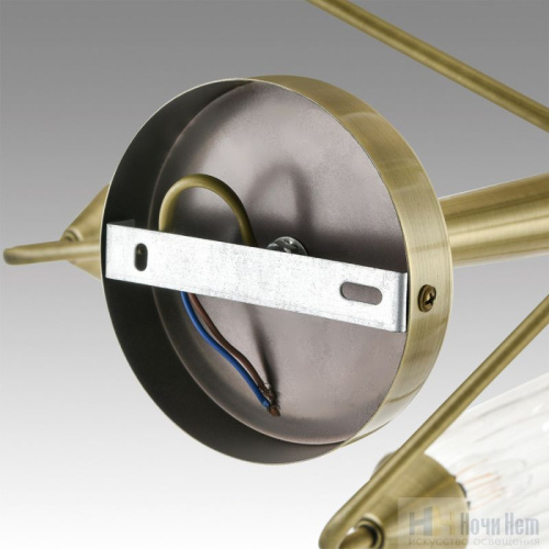 Люстра Lumion Doliana 6584/8C, раздел каталога Люстры с плафонами интернет-магазина Ночи Нет