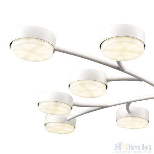 Люстра Lumion Torina 8265/12, раздел каталога Люстры с плафонами интернет-магазина Ночи Нет