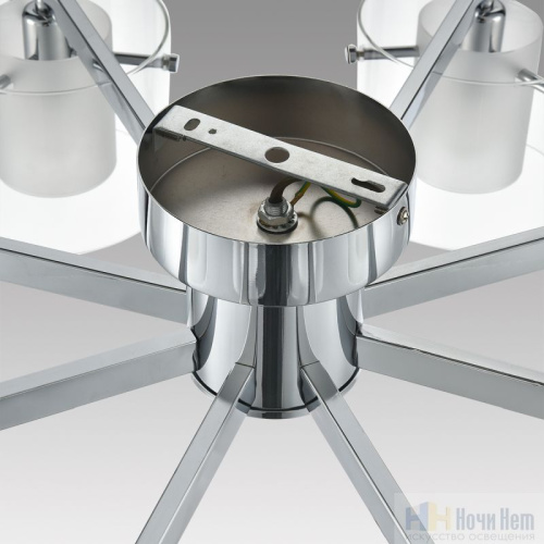 Люстра Lumion Verdi 8261/8C, раздел каталога Люстры с плафонами интернет-магазина Ночи Нет