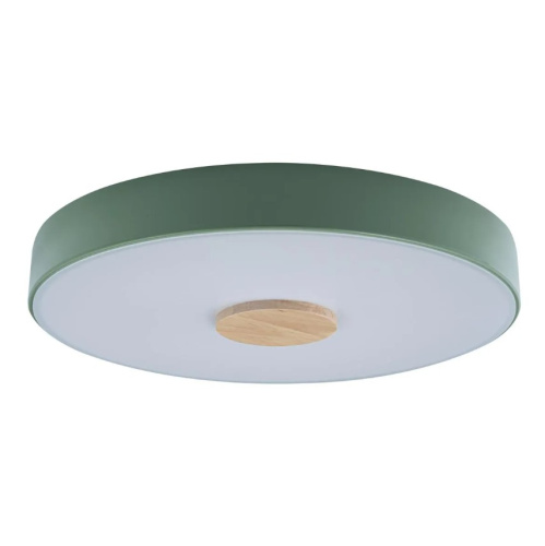 Светильник потолочный Loft IT Axel 10003/24 Green, раздел каталога Круглые современные светильники интернет-магазина Ночи Нет