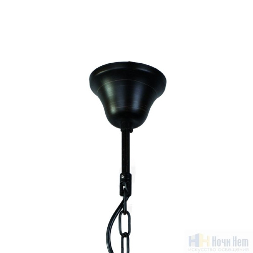 Люстра Favourite Kiara 2057-5P, раздел каталога Люстры с плафонами интернет-магазина Ночи Нет