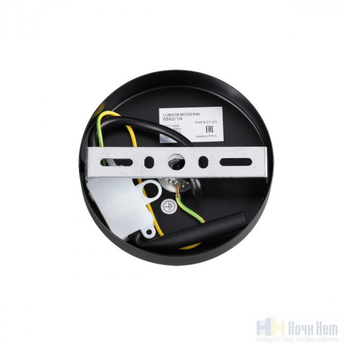 Светильник подвесной Lumion Ice 6562/1A, раздел каталога Подвесы 1 лампа интернет-магазина Ночи Нет