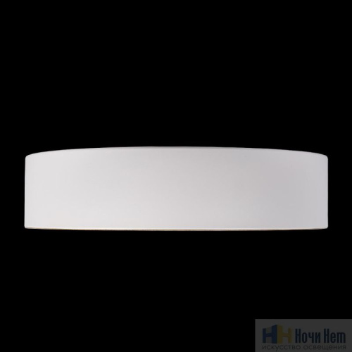 Светильник потолочный Loft IT Coin 10202 White, раздел каталога Круглые современные светильники интернет-магазина Ночи Нет