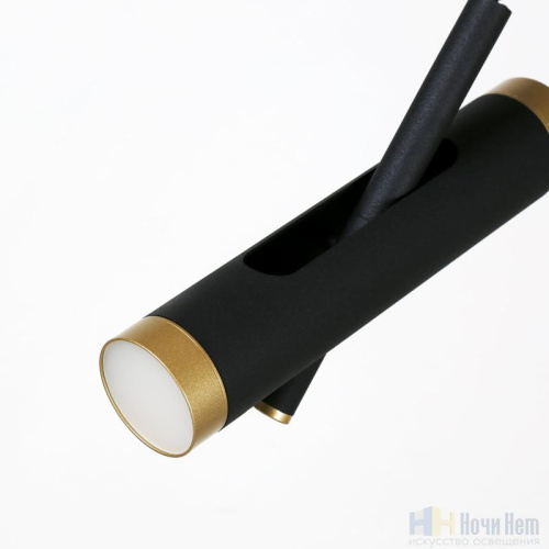 Светильник подвесной Favourite Duplex 2324-2P, раздел каталога Подвесы 2-3 лампы интернет-магазина Ночи Нет