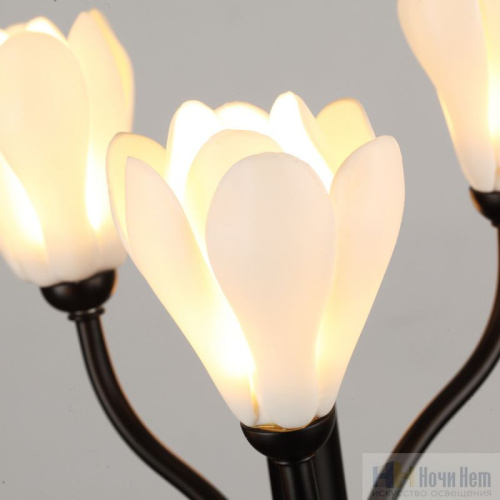 Настольная лампа Odeon Light Gardi 5090/6T, раздел каталога Настольные лампы с плафоном интернет-магазина Ночи Нет