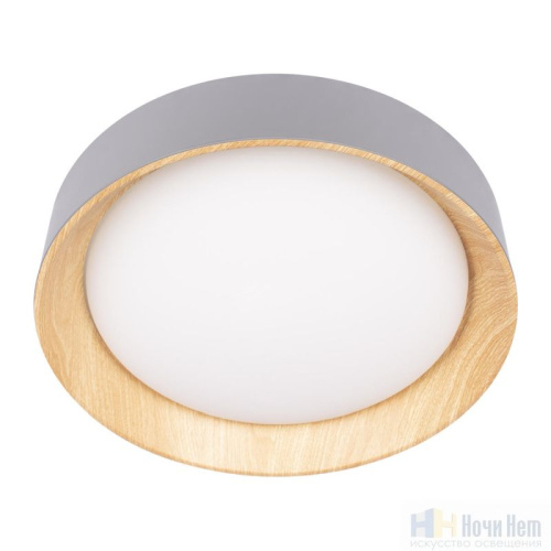 Светильник потолочный Loft IT Coin 10202 Grey, раздел каталога Круглые современные светильники интернет-магазина Ночи Нет