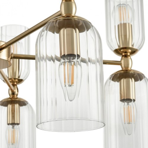 Люстра Lumion Kassia 6586/10, раздел каталога Люстры с плафонами интернет-магазина Ночи Нет