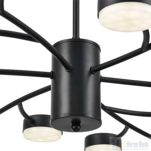 Люстра Lumion Torina 8117/18, раздел каталога Люстры с плафонами интернет-магазина Ночи Нет