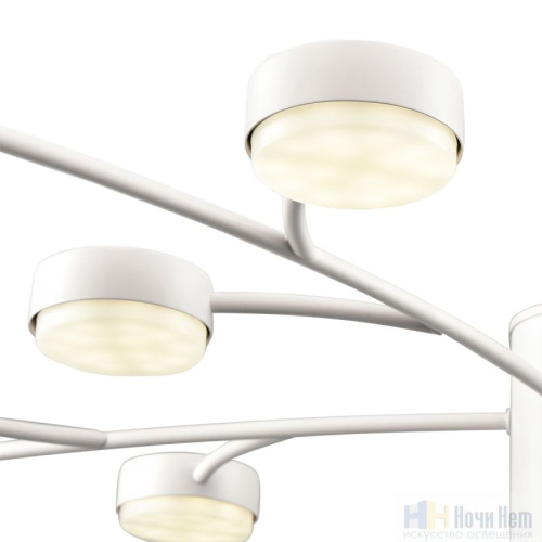 Люстра Lumion Torina 8265/15, раздел каталога Люстры с плафонами интернет-магазина Ночи Нет