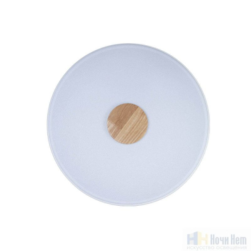 Светильник потолочный Loft IT Axel 10003/24 White, раздел каталога Круглые современные светильники интернет-магазина Ночи Нет