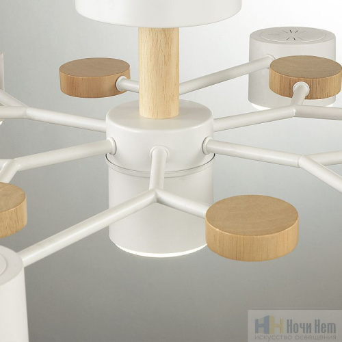 Люстра Lumion Rondo 8195/7C, раздел каталога Люстры с плафонами интернет-магазина Ночи Нет