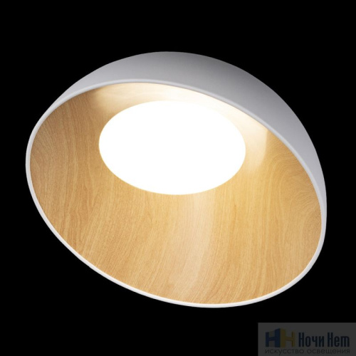 Светильник потолочный Loft IT Egg 10197/500 White, раздел каталога Круглые современные светильники интернет-магазина Ночи Нет