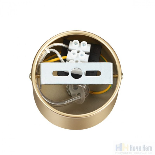 Люстра Lumion Toronto 6560/6, раздел каталога Люстры с плафонами интернет-магазина Ночи Нет