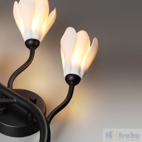 Бра Odeon Light Gardi 5090/5W, раздел каталога Бра с плафоном интернет-магазина Ночи Нет